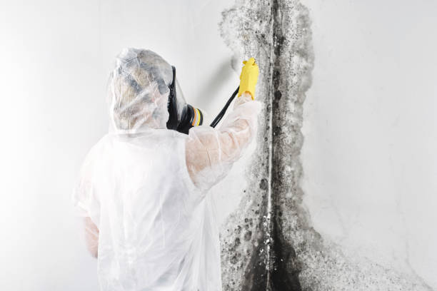 Best Water damage restoration near me  in Norman Park, GA