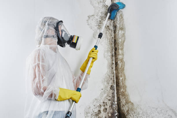 Trusted Norman Park, GA Water damage restoration Experts